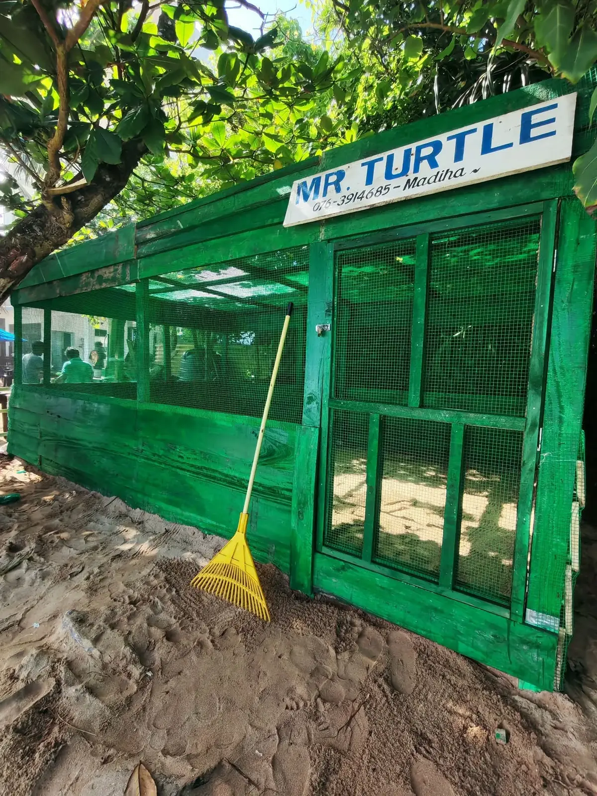 Green wooden hatchery with a Mr. Turtle sign on a beach in Sri Lanka